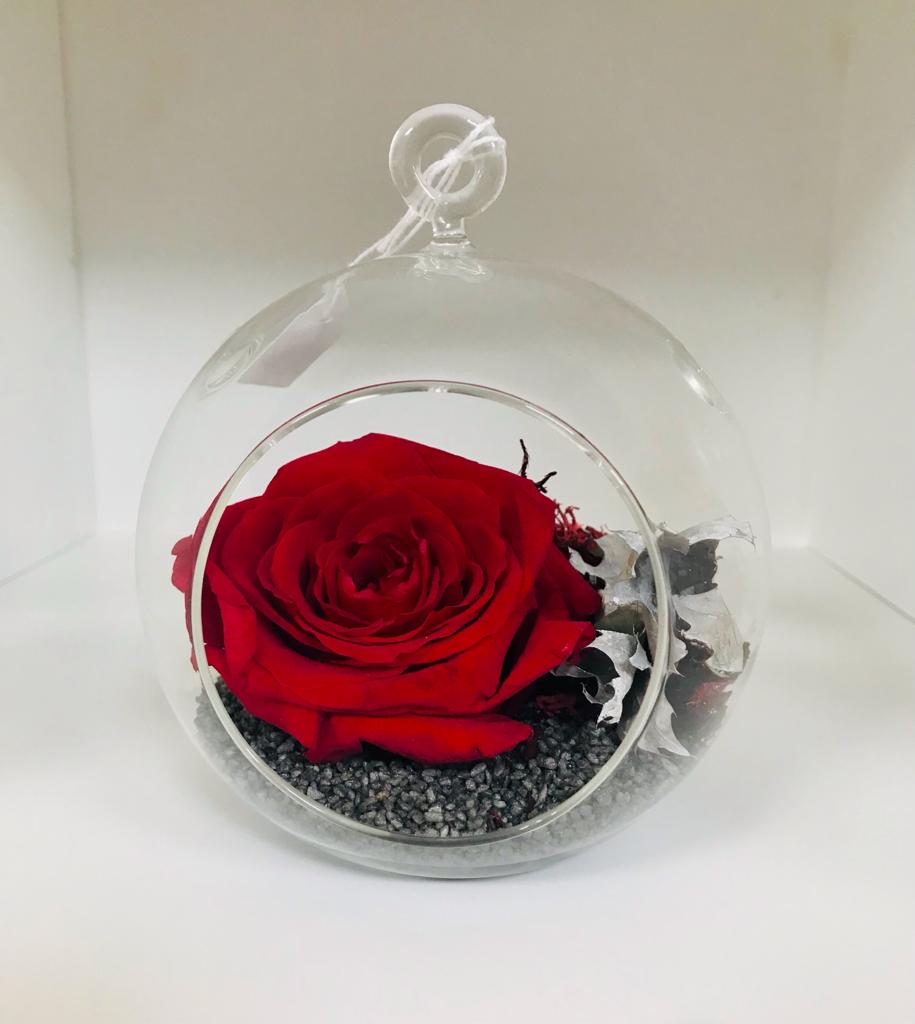 Rosa stabilizzata in contenitore di vetro con coperchio. Everlasting rose.